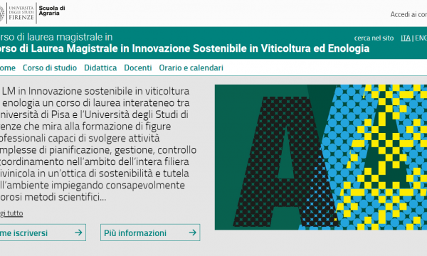 Bando di concorso A.A. 2024-2025_CdLM Innovazione Sostenibile in Viticoltura ed Enologia