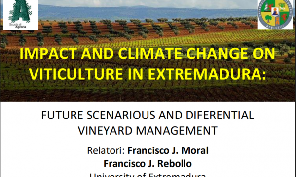 SEMINARIO, 24 FEBBRAIO, ore 09.00 