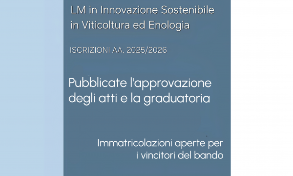 Bando di selezione ISVE A.A. 2025/2026.