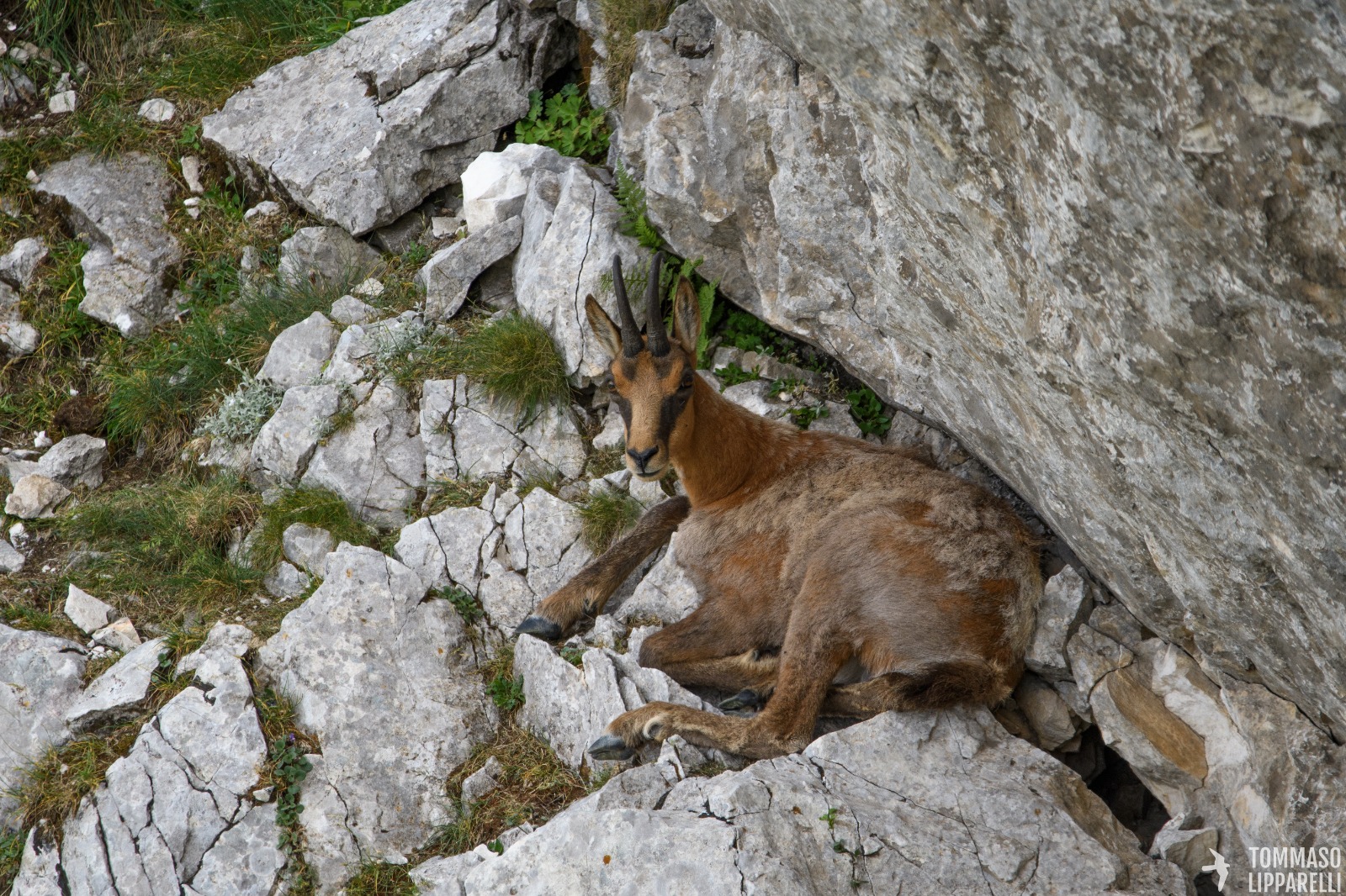Abruzzo4